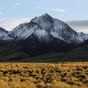 Taller para controlar la ansiedad y el estrés